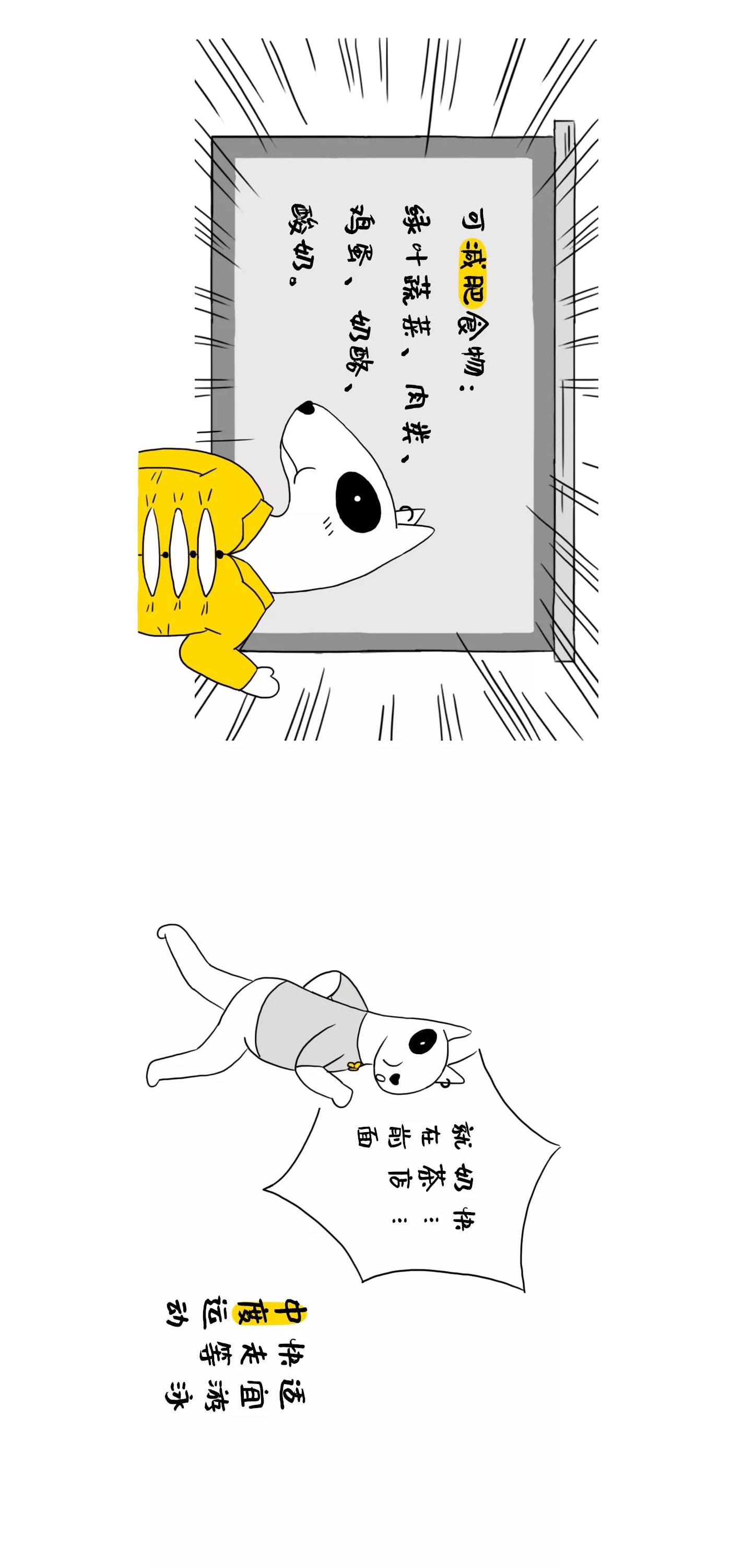 血型IP，血型健康，原創IP形象設計，fundog