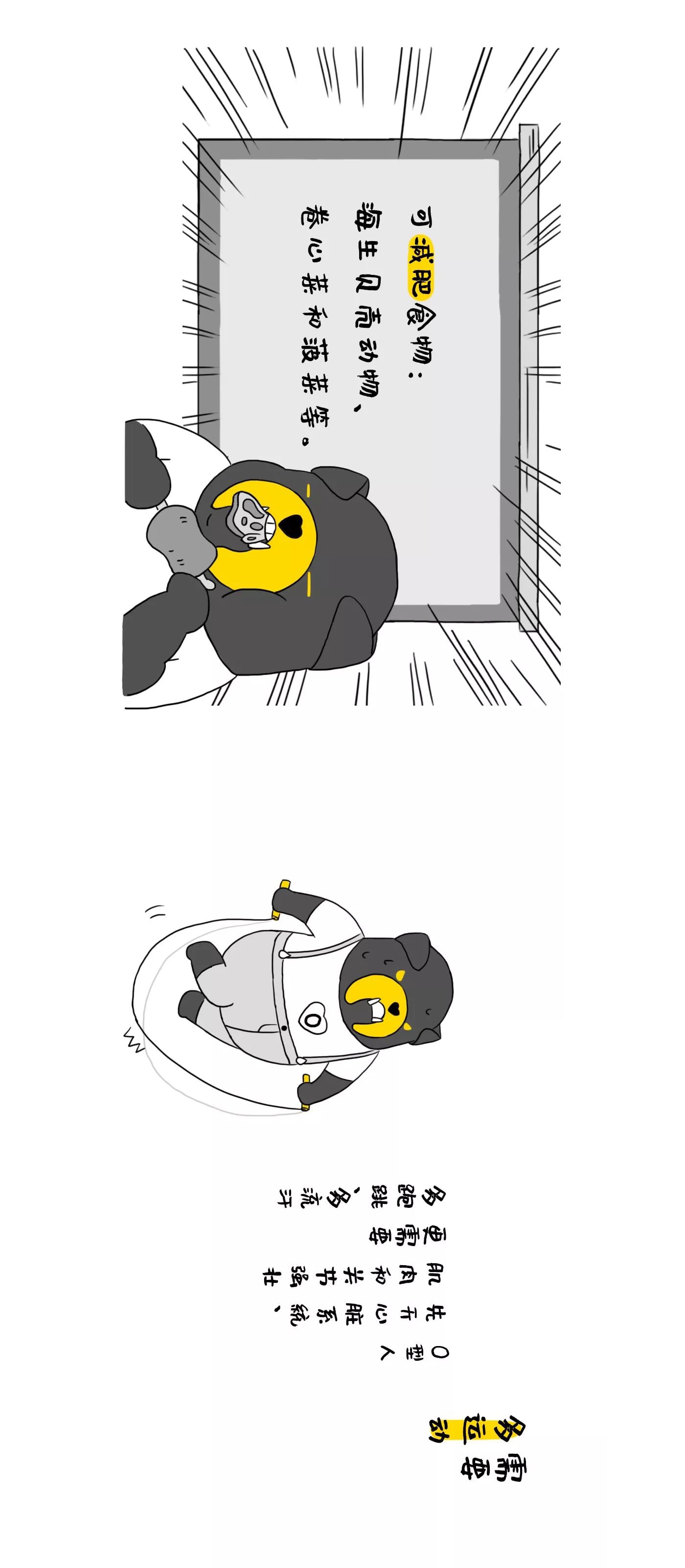 血型IP，原創(chuàng)IP設(shè)計(jì)，IP運(yùn)營，奮逗家族